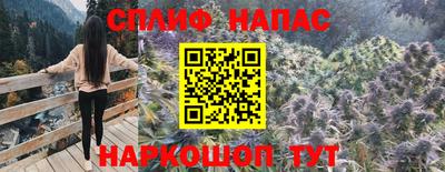 молекула духа Моздок