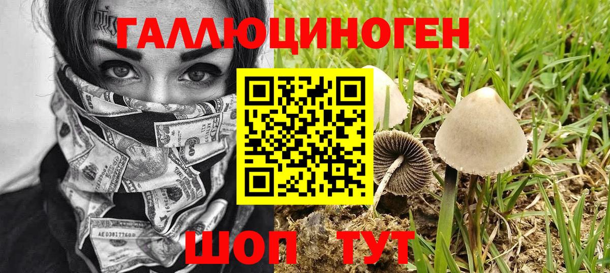 Галлюциногенные грибы мухоморы Верхний Уфалей